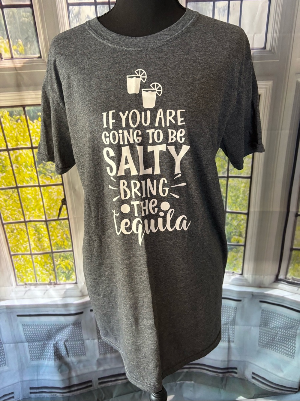 Gildan Softstyle Dark Gray Unisex Snarky Tee